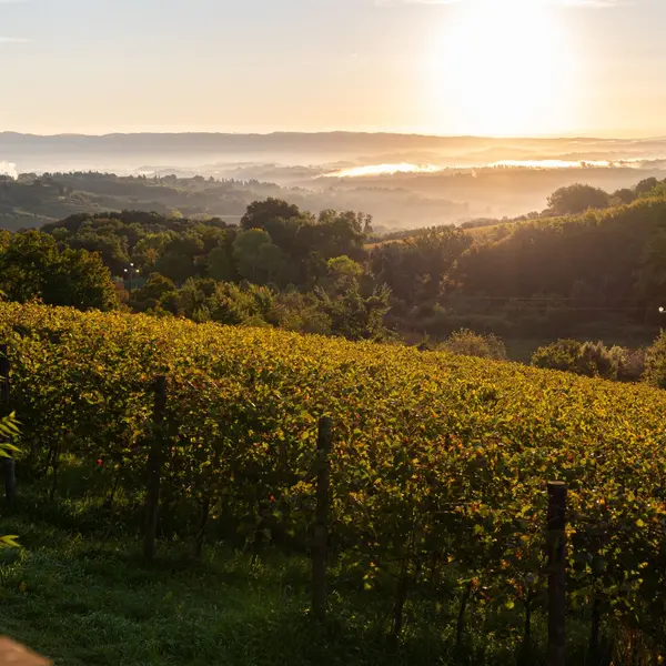 Offerta Novembre a San Gimignano